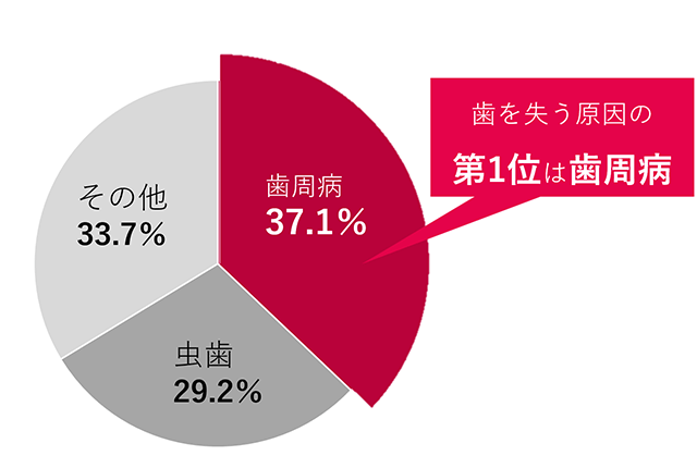 歯を失う原因の第1位は歯周病